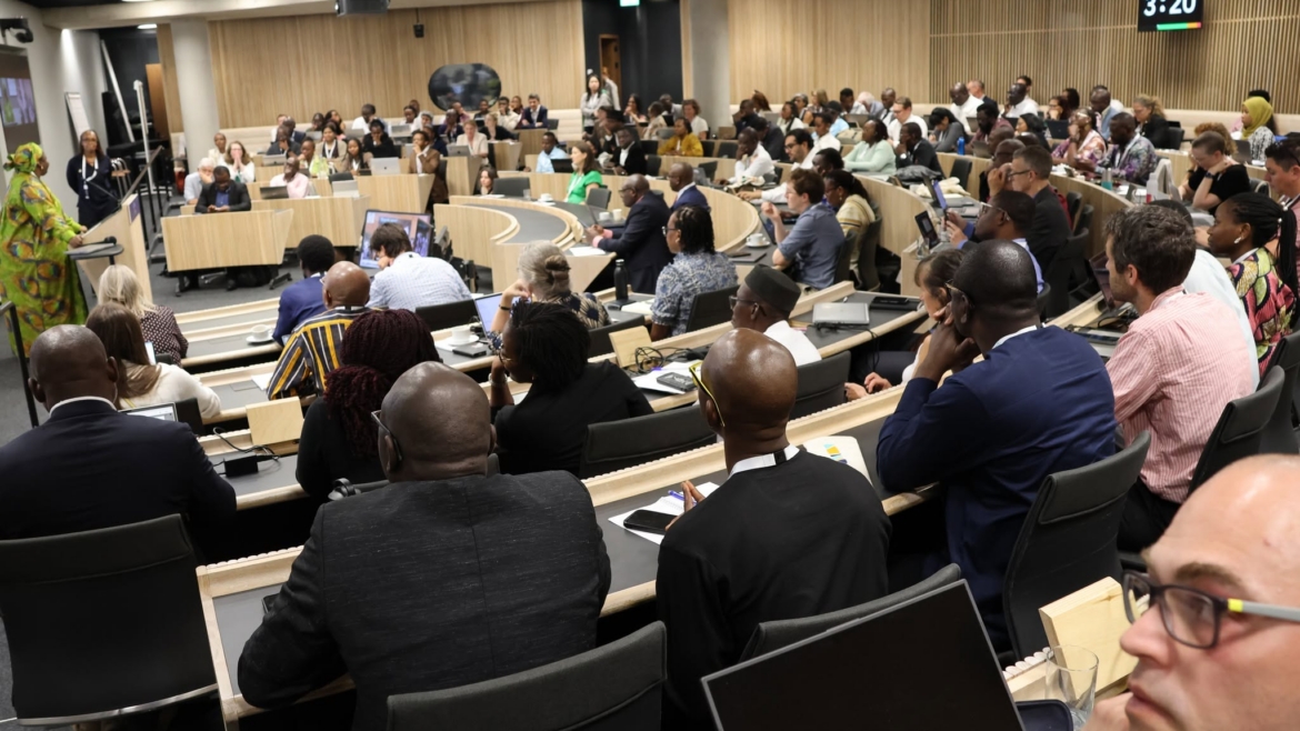 Annual Meeting of the African Pandemic Sciences Collaborative: Review and Community Challenges for EPSILON