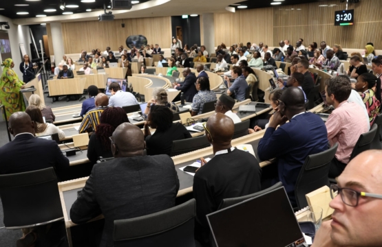 Annual Meeting of the African Pandemic Sciences Collaborative: Review and Community Challenges for EPSILON