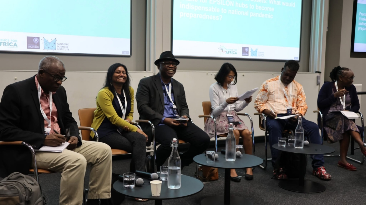 From projects to national assets: What would it take for EPSILON hubs to become indispensable to national pandemic preparedness?