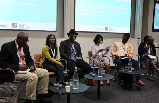 From projects to national assets: What would it take for EPSILON hubs to become indispensable to national pandemic preparedness?